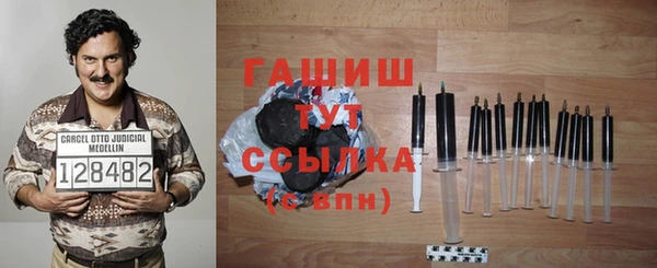 дмт Богданович