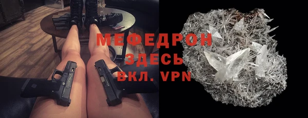 дмт Богданович