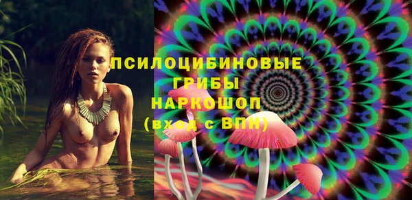2c-b Богородицк