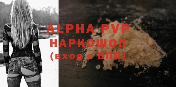 дмт Богданович