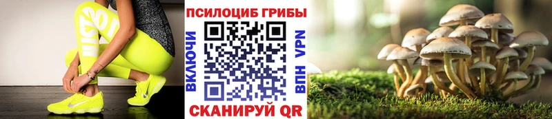 Галлюциногенные грибы Magic Shrooms  сколько стоит  Буй 